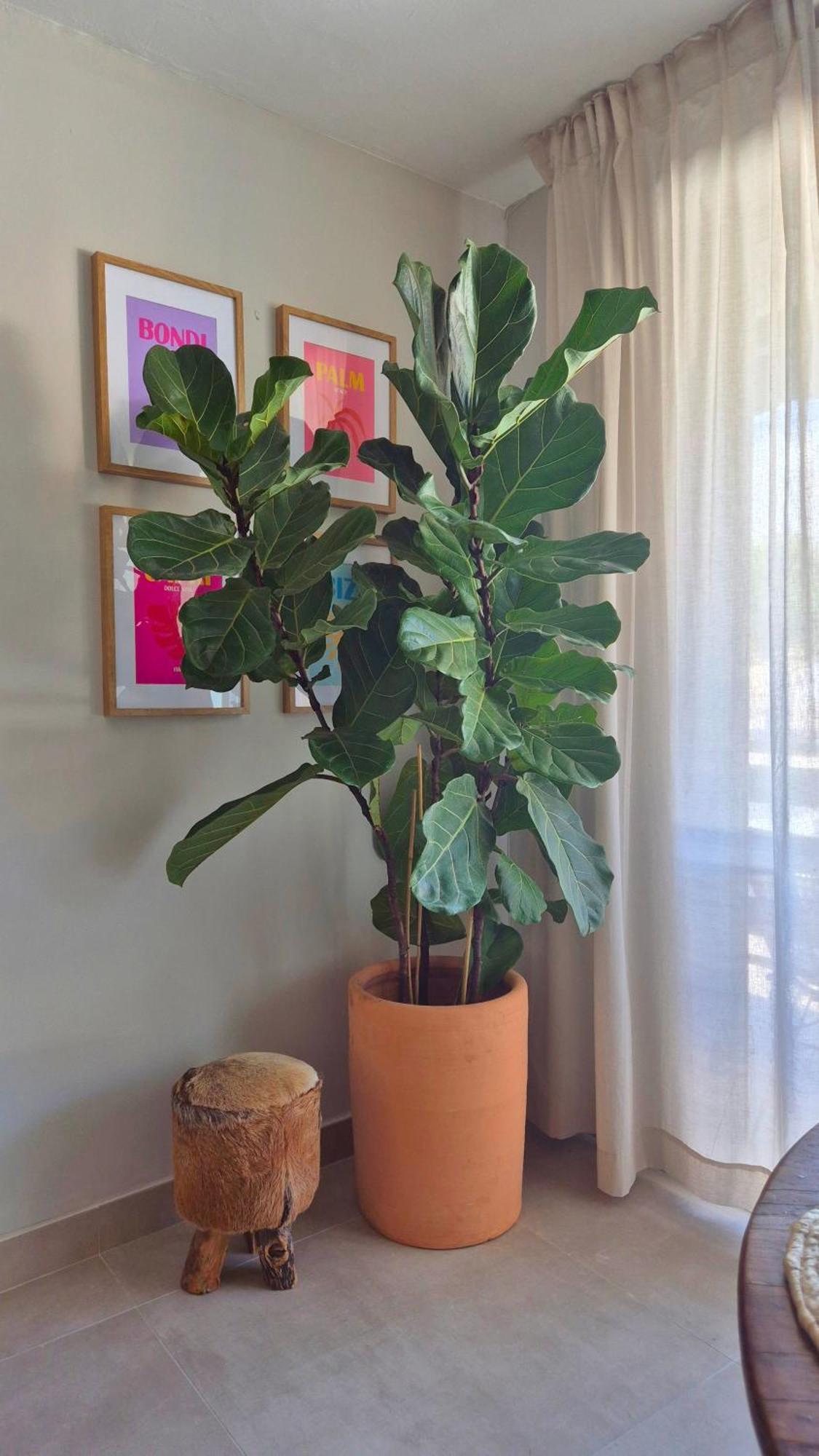 Appartement La Casita Bonita - 30m From The Arenal - Private Parking Jávea